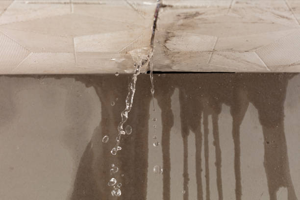 Professional Water Damage Inspection technician working in Swansea, MA